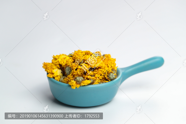 黃金貢菊