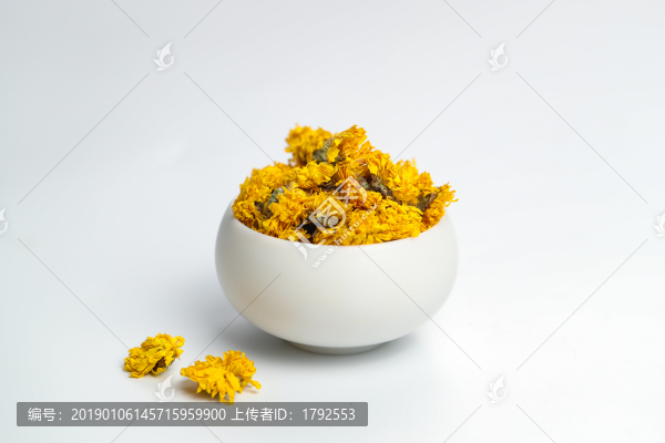 黃金貢菊
