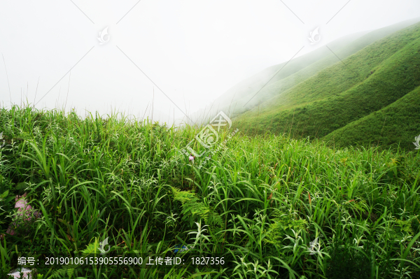 武功山