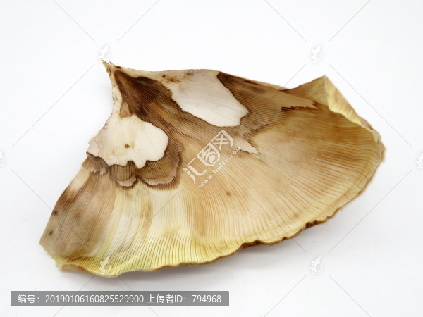 竹筍殼