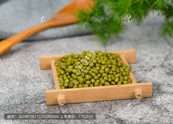 綠豆