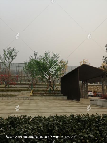 小區(qū)綠化