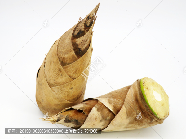 竹筍