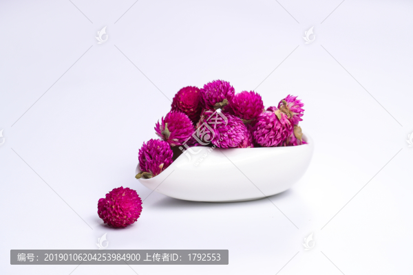 千日紅花茶