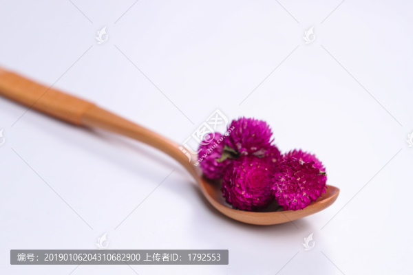 千日紅花茶
