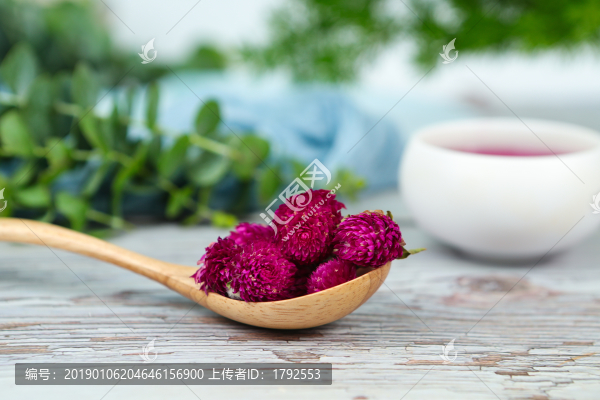 千日紅花茶