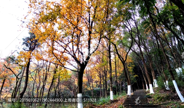 溫州景山公園