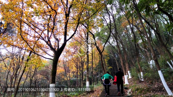 溫州景山公園