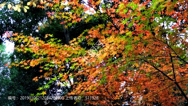 溫州景山公園
