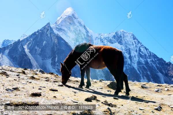 雪山