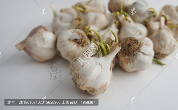 臘八蒜