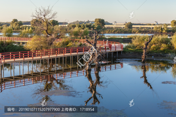 沈北蒲河濕地景觀15