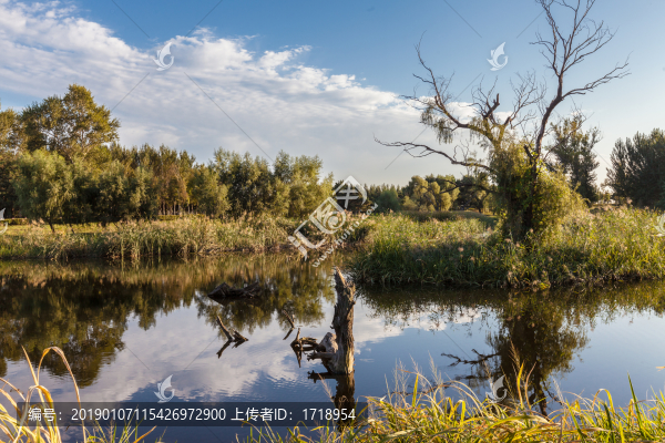 沈北蒲河濕地自然風(fēng)光34