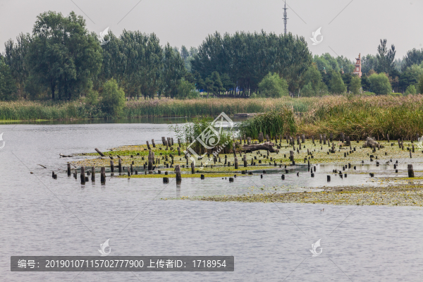 沈北蒲河濕地自然風(fēng)光80