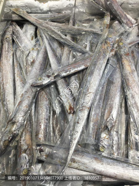冷凍帶魚(yú)