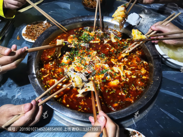 享用美食六合魚