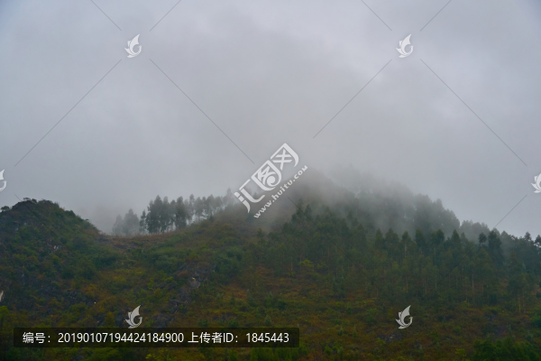 山霧