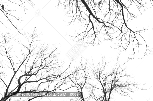 水墨枯枝