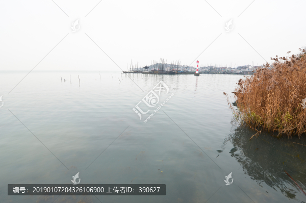 太湖濕地