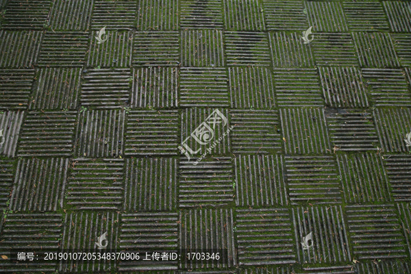 青苔地磚紋理背景素材