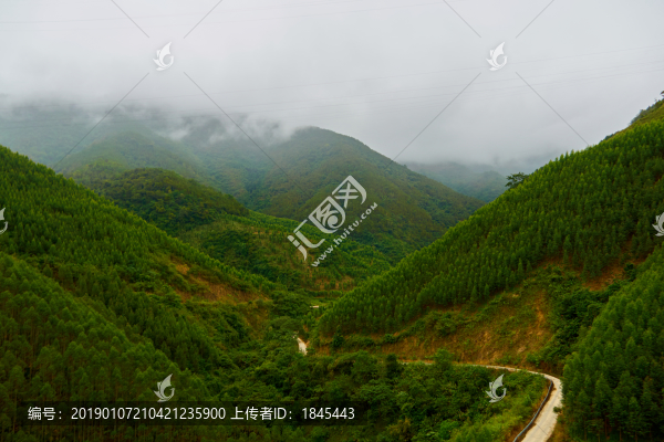 遠(yuǎn)山霧