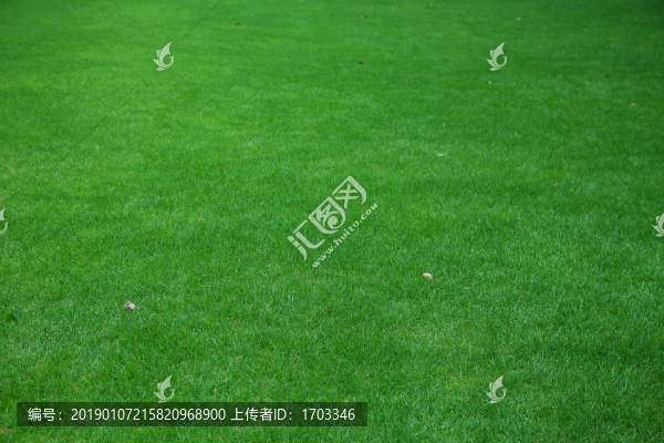 綠草地背景素材