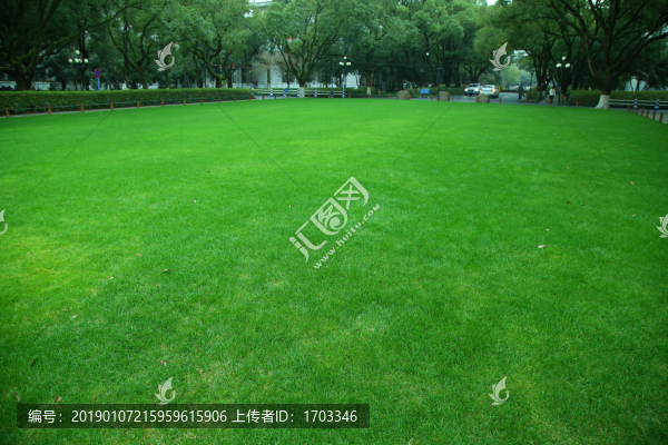 浙大校園綠草地
