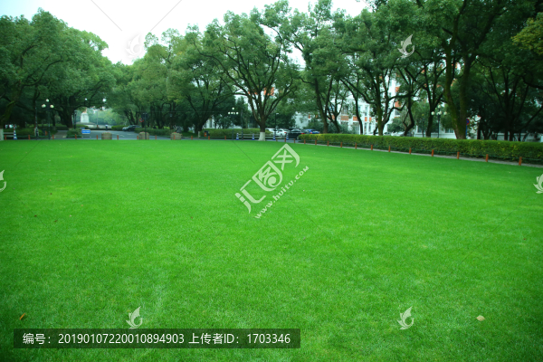 浙大校園綠草地