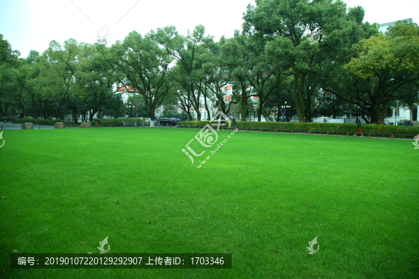 浙大校園草地綠化