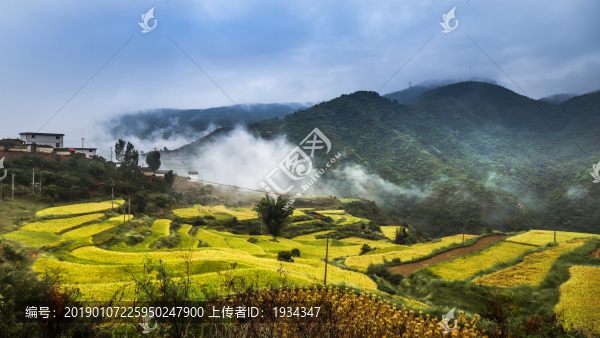 高原風(fēng)光之梯田秋色