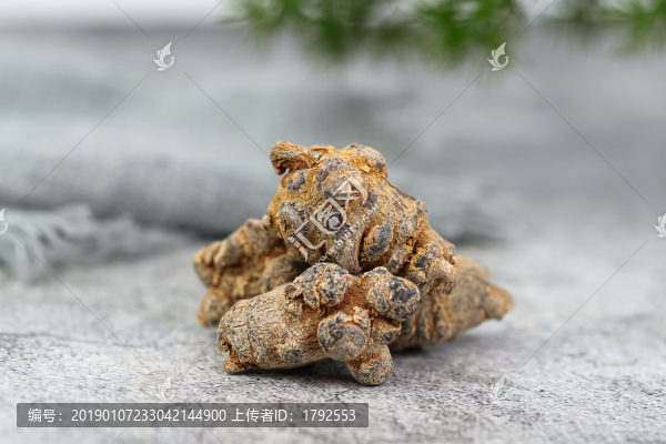 田三七