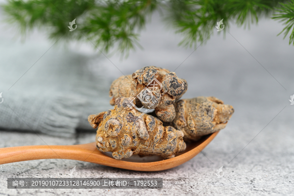 田三七