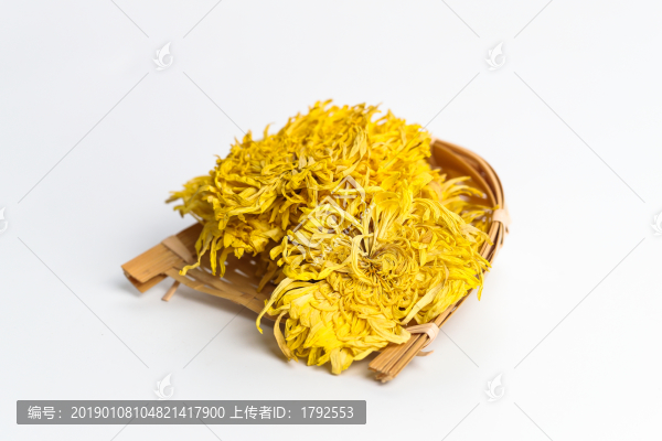 金絲皇菊