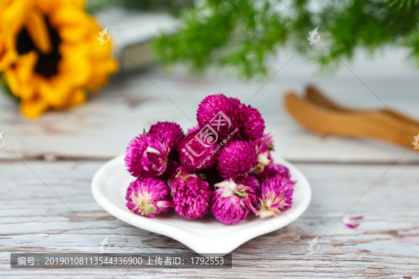 千日紅花茶