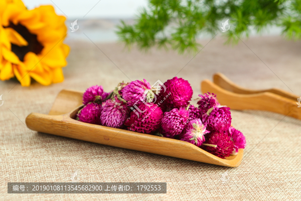千日紅花茶