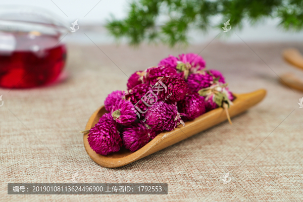 千日紅花茶