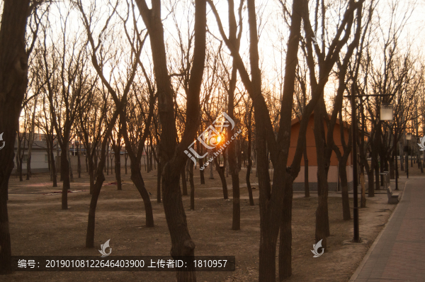 古塔公園