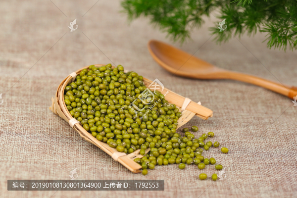 小綠豆
