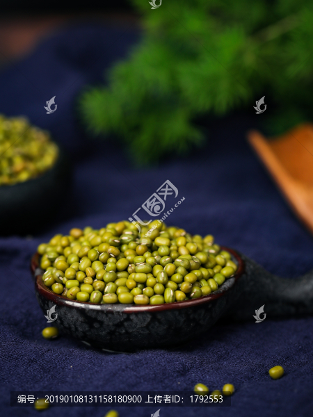 綠豆
