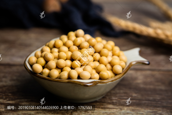 黃豆大豆