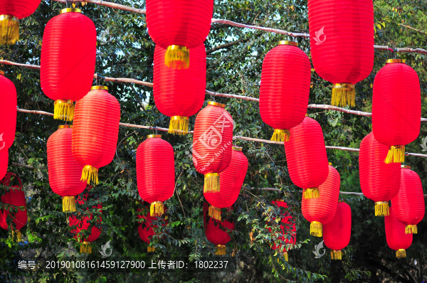 紅燈籠