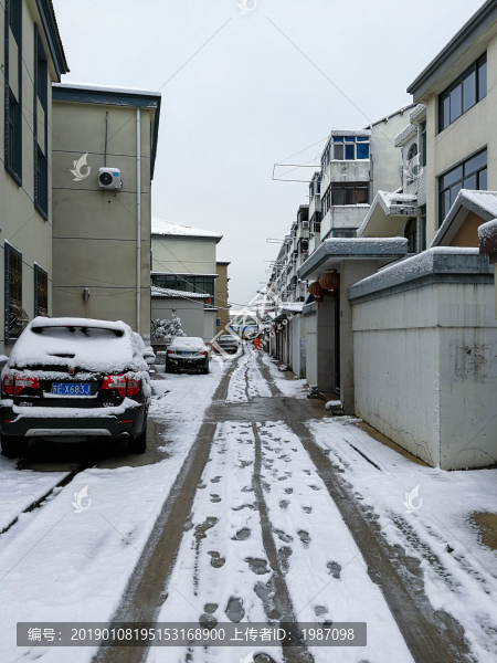 雪景