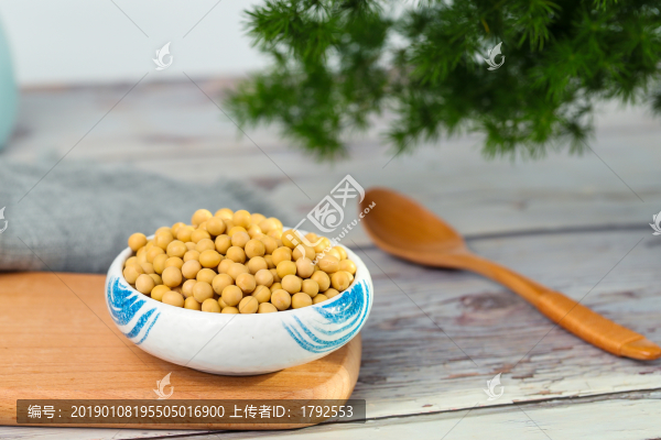 黃豆大豆