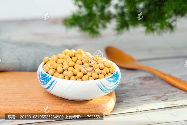 黃豆大豆