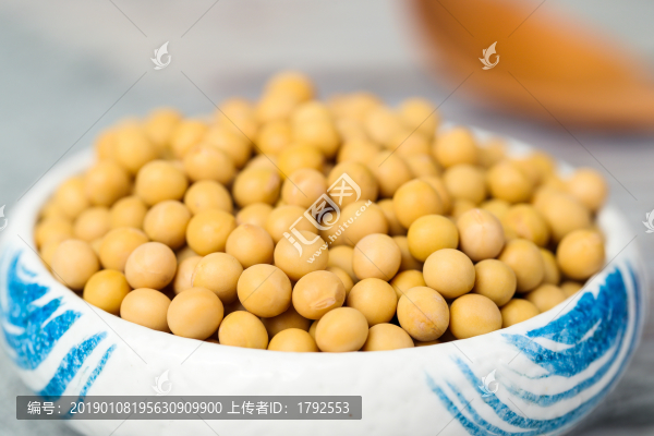 黃豆大豆