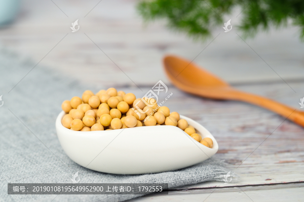 大黃豆