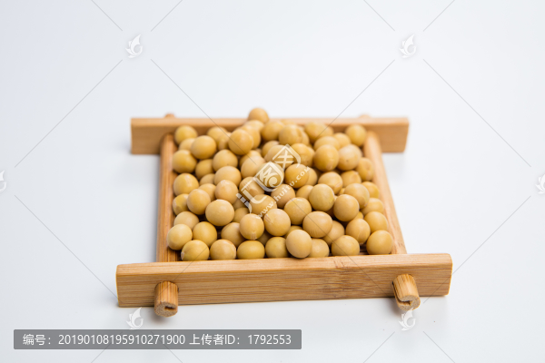 黃豆