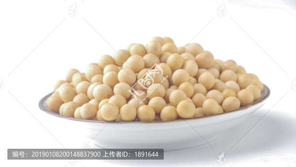 大豆