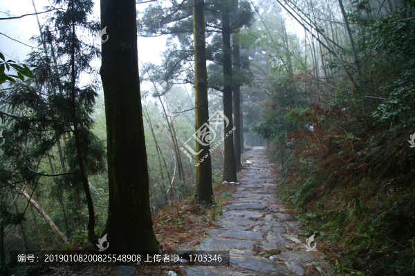 云霧廬山