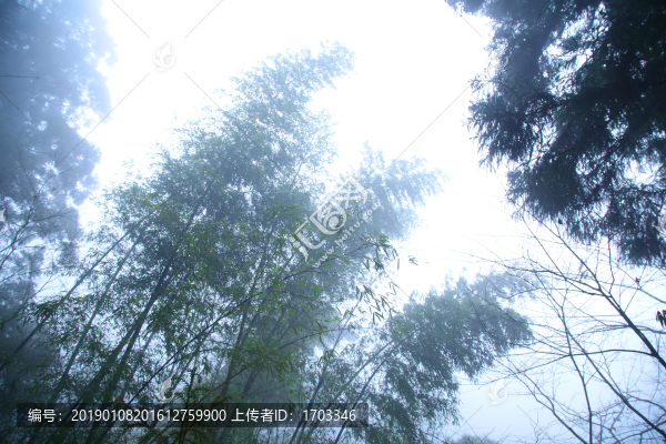 云霧廬山
